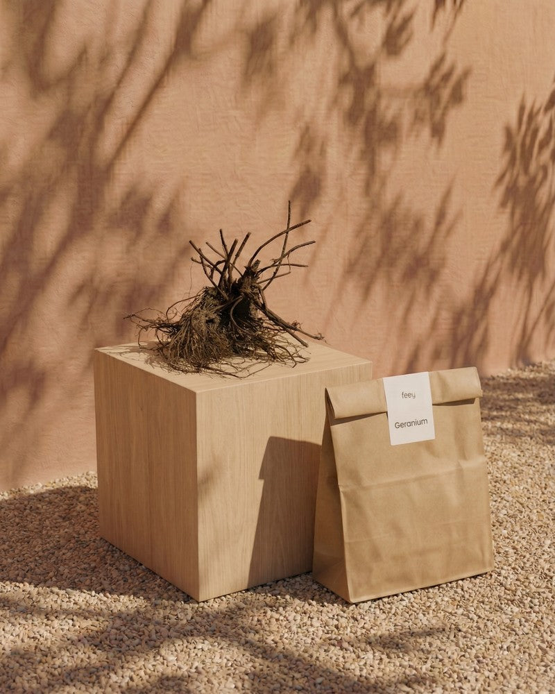 Eine getrocknete Geranienwurzel (blau) liegt auf einem Holzwürfel neben einer beschrifteten braunen Papiertüte. Beide Gartenschätze ruhen auf Kies mit sanftem Schatten, ideal für alle, die Rhizome einpflanzen wollen.