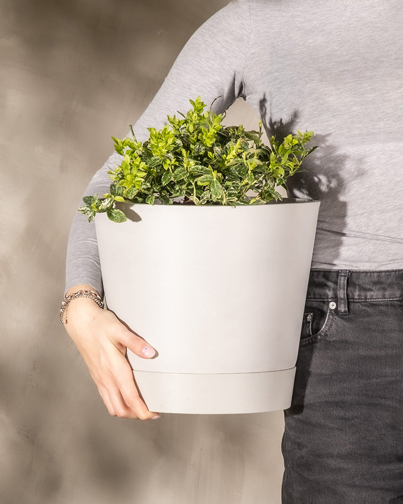 Pflanzkübel 'Venice' | 30 cm