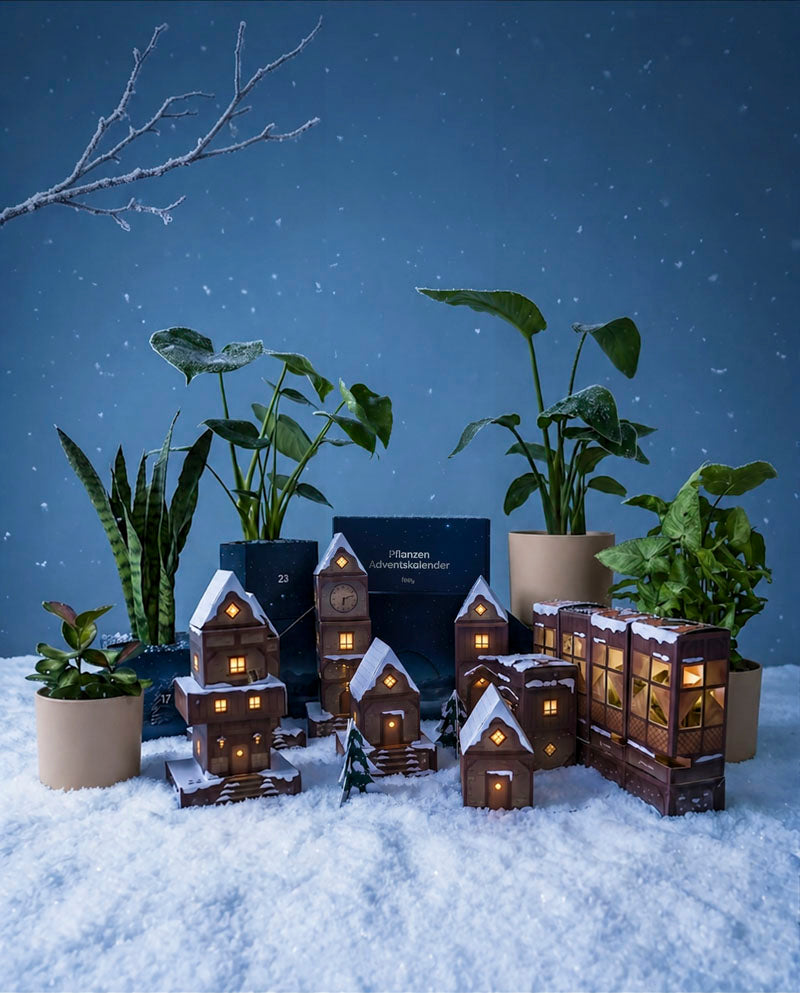 Beleuchtetes Adventskalender-Winterdorf in Abendblau auf Schnee bei Nacht, dahinter Zimmerpflanzen und sanft fallende Schneeflocken.