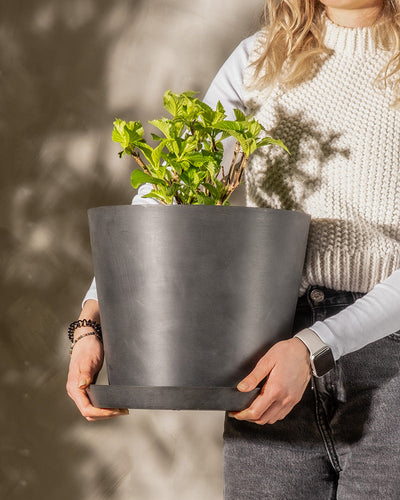 Eine Frau mit welligem blondem Haar, einem weißen Pullover und grauen Jeans trägt einen großen schwarzen Blumentopf mit einer leuchtend roten Hortensie. Sonnenlicht wirft Schatten auf einen neutralen Hintergrund. Ihr Gesicht ist nicht sichtbar.