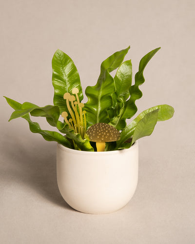 Ein weißer Keramiktopf enthält eine realistisch aussehende Zimmerpflanze mit leuchtend grünen Blättern. Zwischen den Blättern sind ein dekorativer Mini-Pilze-Pflanzenstecker und goldene Stiele mit Kugeln darauf platziert, die dem Arrangement eine skurrile Note verleihen.