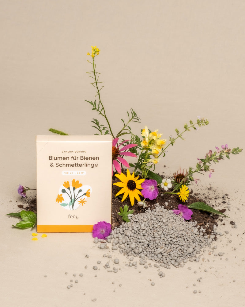 Blumensamen für Bienen & Schmetterlinge - Pflanzenzubehör - feey Pflanzenshop
