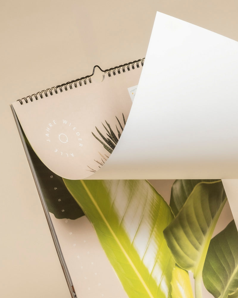 Der Pflanzenkalender ist ein spiralgebundener, immerwährender Kalender mit einem botanischen Bild aus grünen Blättern und einem kreisförmigen deutschen Text auf einem weichen beigen Hintergrund - perfekt für Zimmerpflanzen-Fans.