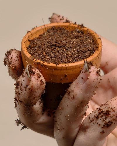 Hand hält ein Terracotta-Töpfchen mit Erde