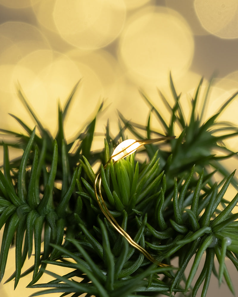 Eine Nahaufnahme einer kleinen, leuchtenden Lichterkette, eingebettet zwischen den grünen, nadelartigen Blättern einer Pflanze. Der Hintergrund zeigt große, unscharfe, runde Lichter, die eine warme und festliche Atmosphäre schaffen, die perfekt für die Weihnachtsdekoration ist.